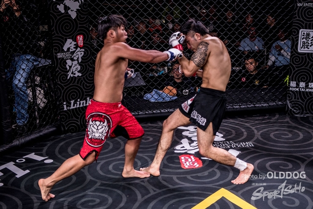 MMA-168