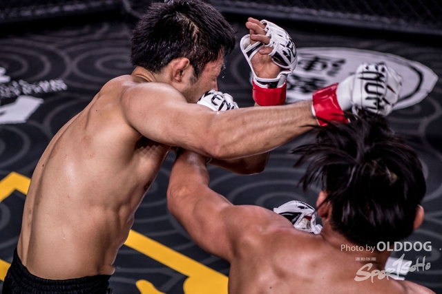 MMA-169