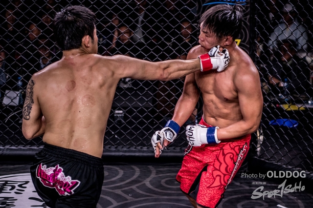MMA-170