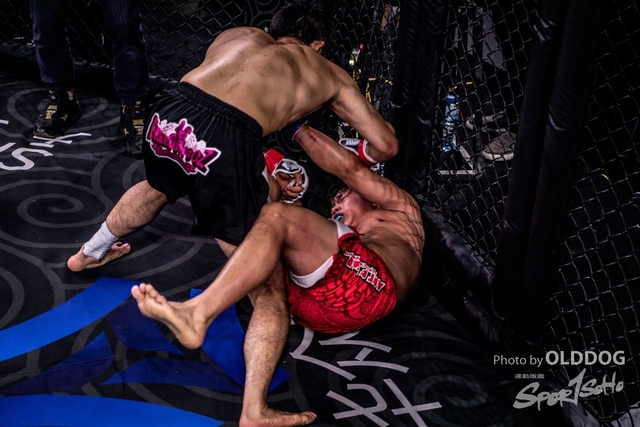 MMA-172