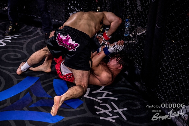 MMA-173