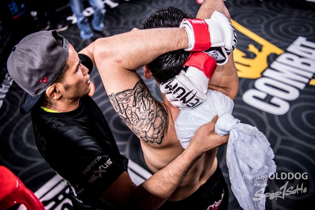 MMA-175
