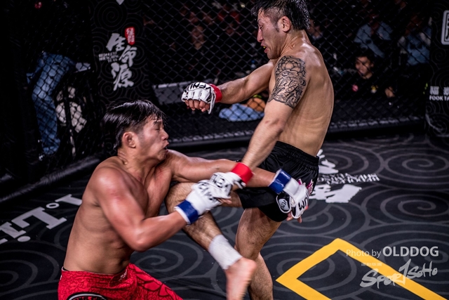 MMA-176