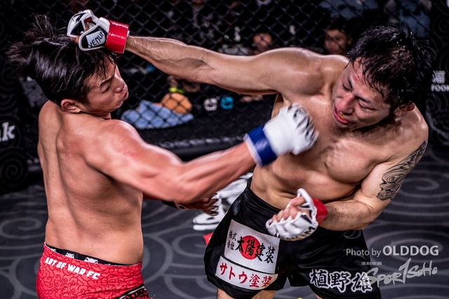 MMA-177