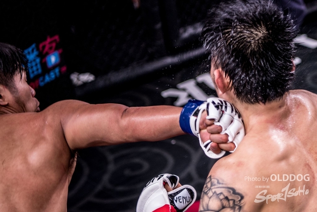 MMA-179