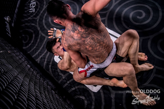 MMA-186