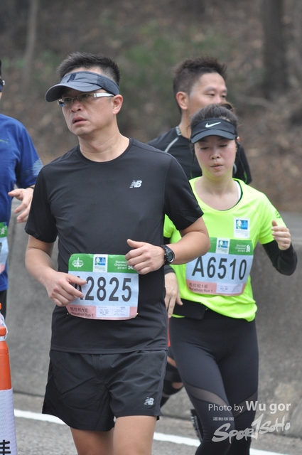 0121 Wu Gor D (294)