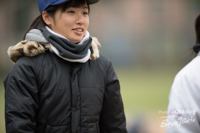 Baseball-39