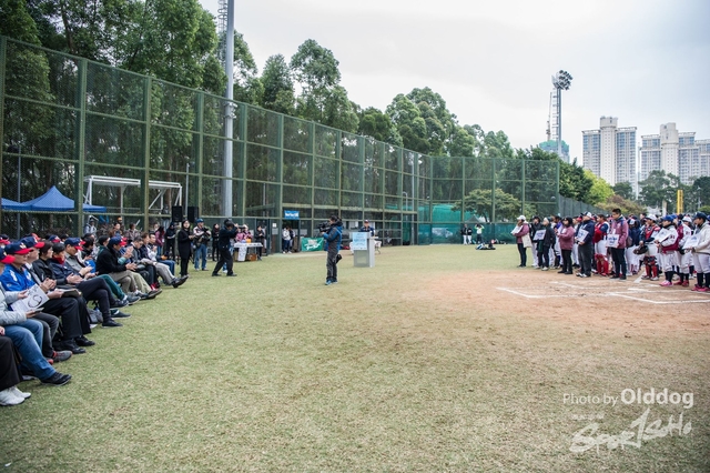 Baseball-100