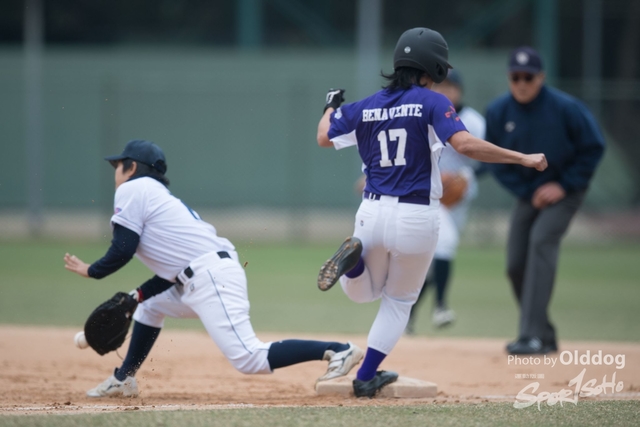 Baseball-208