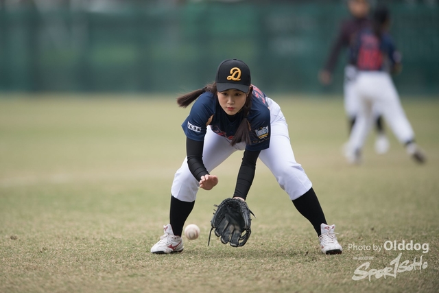 Baseball-329