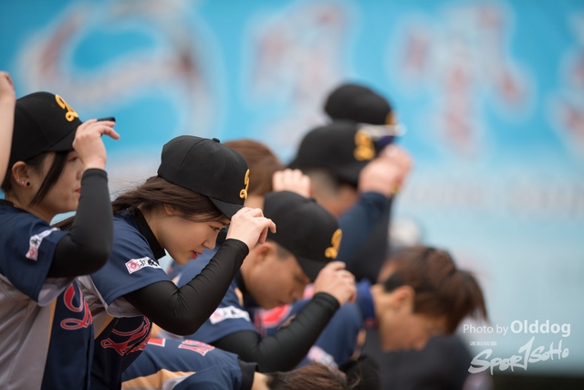 Baseball-334