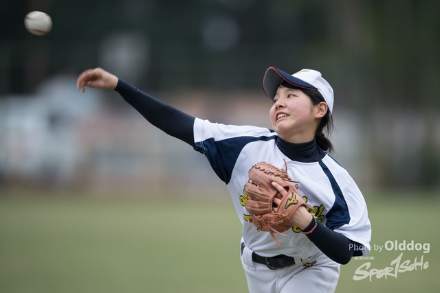 Baseball-339