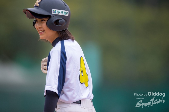Baseball-365