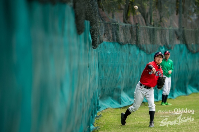 Baseball-12