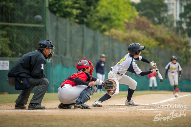 Baseball-37