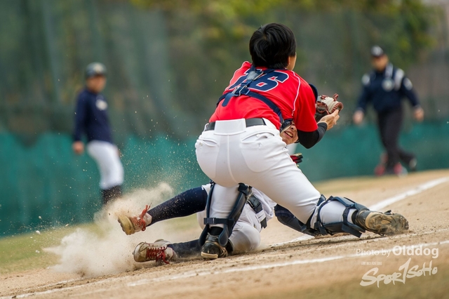 Baseball-39