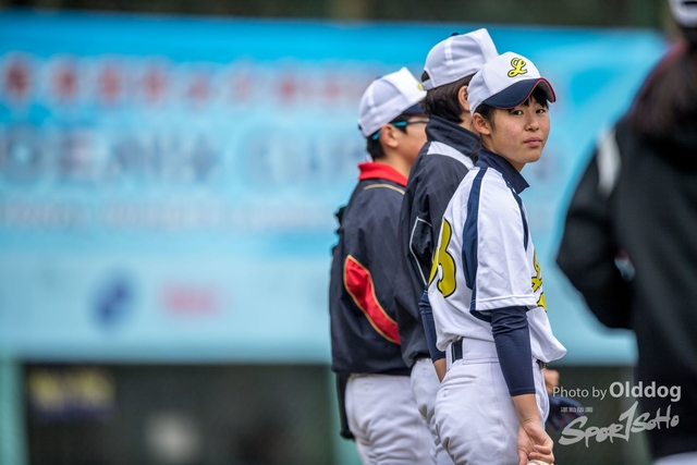 Baseball-43