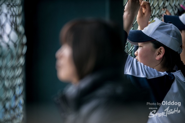 Baseball-78