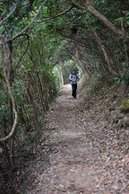 DSC_5744