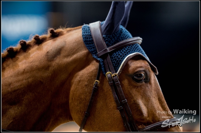 2018-0210 Longines Masters 0021