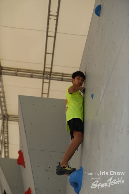 CYY_6550
