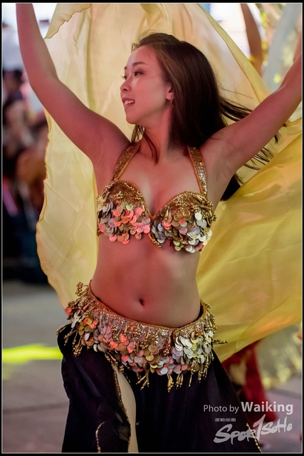 2018-02-16 Night Parade 0602