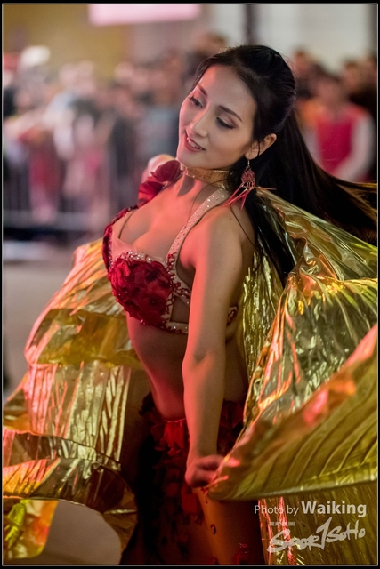2018-02-16 Night Parade 0603