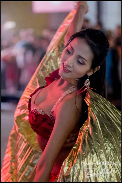 2018-02-16 Night Parade 0604