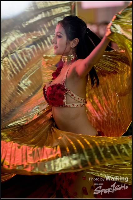 2018-02-16 Night Parade 0609