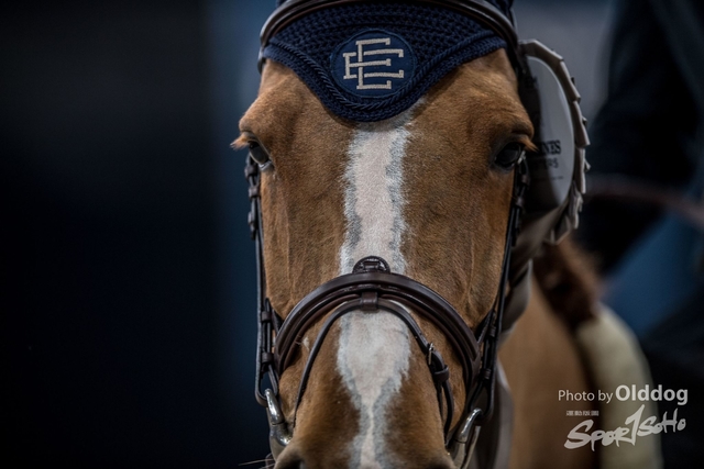 LonginesDay2-137