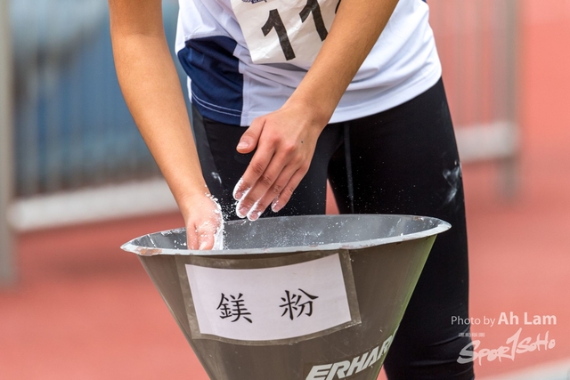 LAM_3377