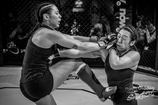 JUST MMA36
