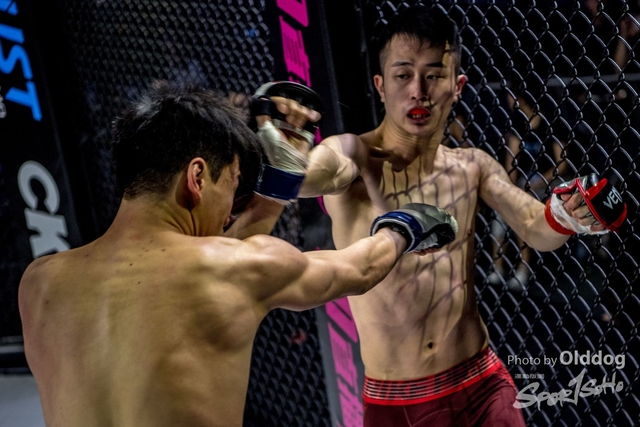 JUST MMA47