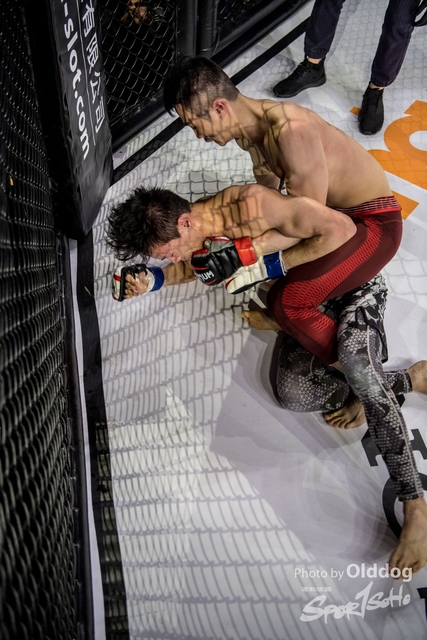 JUST MMA55