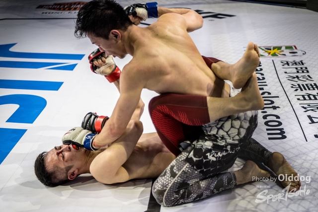 JUST MMA63