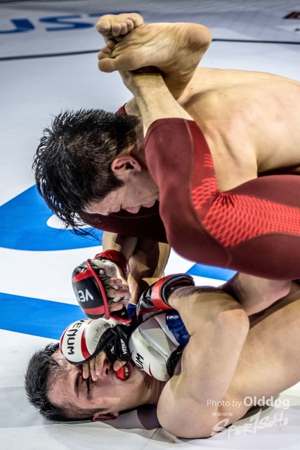 JUST MMA65