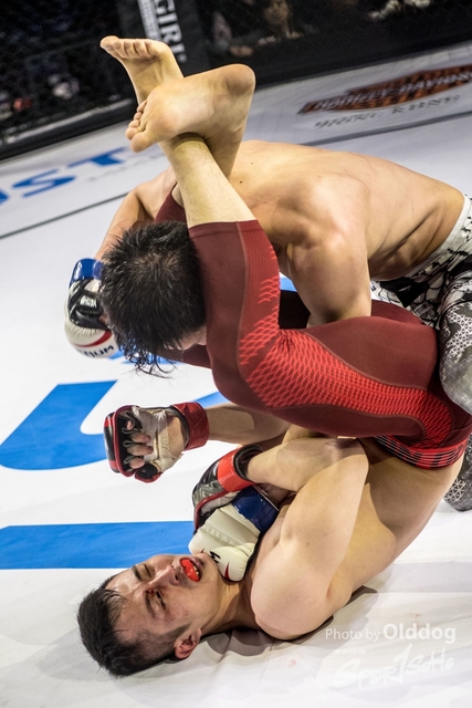 JUST MMA66