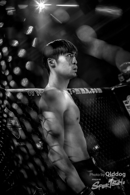 JUST MMA84