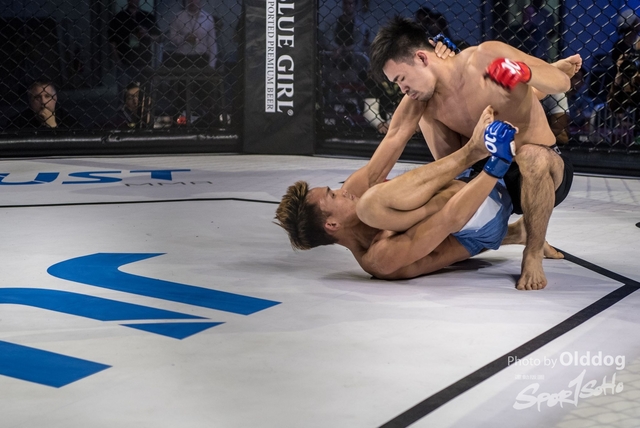 JUST MMA96