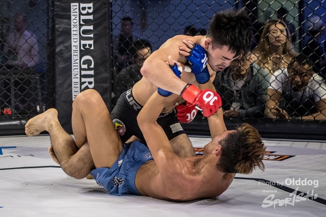 JUST MMA100