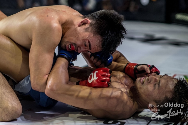 JUST MMA116