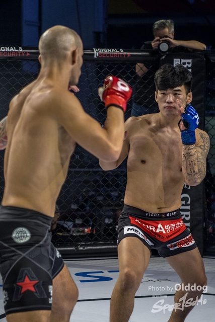 JUST MMA123
