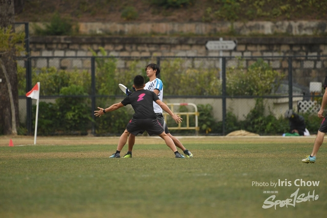 CYY_3590