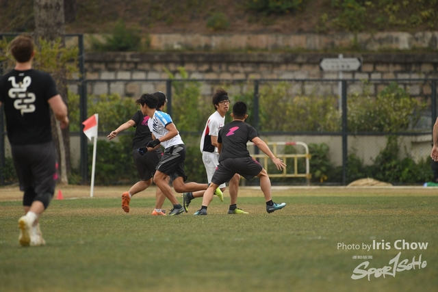 CYY_3591