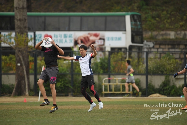 CYY_3619