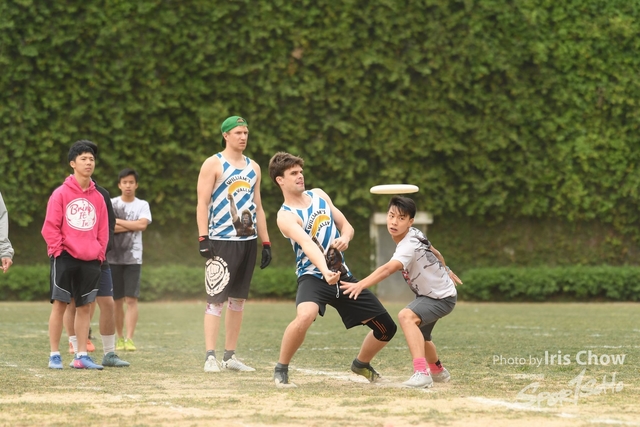CYY_3675