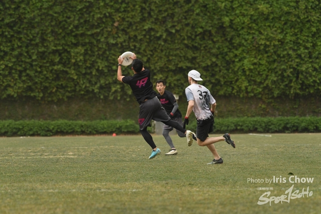 CYY_3949