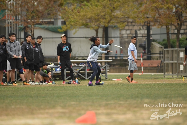 CYY_4017