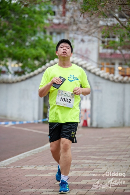 HSMC Run-213